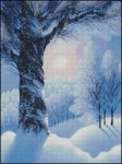 (image for) Warm Winter Sun